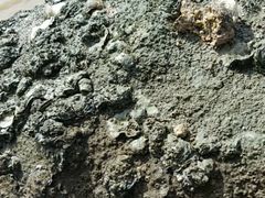 -益健海鲜大食坊(拱北口岸店)