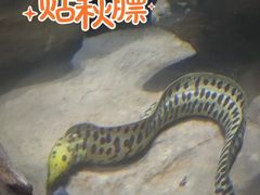 -锦艺城海洋馆