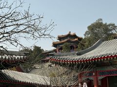 -宫事颐庭·老佛爷贵寿下午茶(颐和园店)