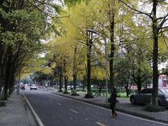 -四川大学(望江校区)