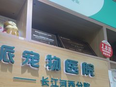 -瑞派长江宠物医院·猫科·外科·24小时夜护(谊城公寓分院)