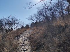 -北京西山国家森林公园