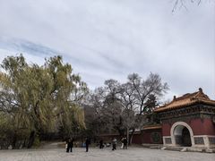 -北陵公园