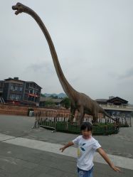 点击看大图 -恐龙探索乐园(磁器口店)