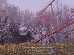 -朝阳公园