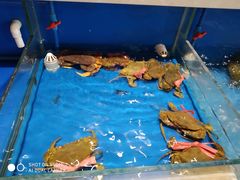 -姜君·千岛湖鱼头馆(浦东大道店)