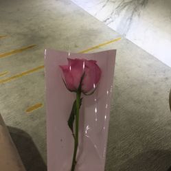 -广东韩妃整形外科医院