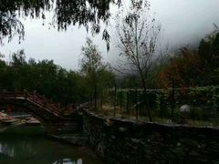 -云梦山