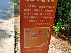 -滴水岩森林公园
