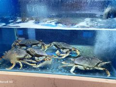 -隆聚·时令海鲜(洪兴店)