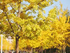 -浙江农林大学(东湖校区)