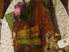 -紫滇源云南生态菜(丹凤街店)