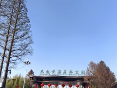 -黄海国家森林公园