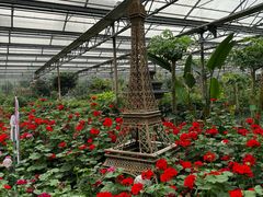 -南宫五洲植物乐园