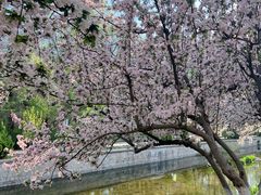 -元大都城垣遗址公园