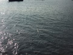 -乌石塘景区