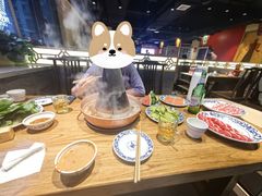 -东镇老火锅(长春路首店)