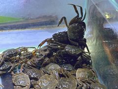 -聚盛源蒸汽海鲜火锅烤肉自助(巨川金海岸购物广场店)