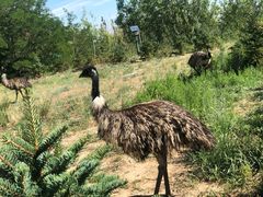 -亿利库布其七星湖沙漠生态旅游区