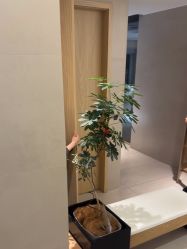 -AGE LOCK 锁龄美肌