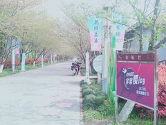 -高东镇樱花园