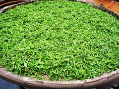 -龙井壹号·茶缘山景宴(龙井村店)