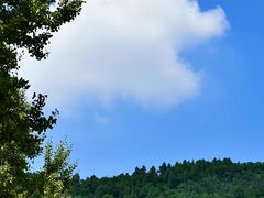 -正觉寺