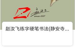 -赵汝飞练字硬笔书法(静安寺校区)