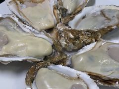 -千岛蚝高压锅生蚝·人参火锅(白云万达店)