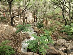 -山叶口景区
