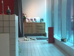 -ID.PHOTO照相馆(嘉里企业中心店)