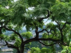 -桂林独秀峰王城景区