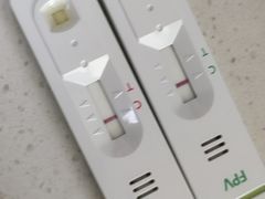 -美联众合动物医院·伴可分院·内科中心医院