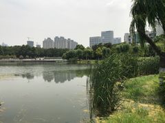-后襄河公园