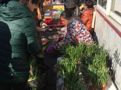 -中环花鸟鱼虫市场