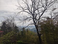 -莫干山风景区
