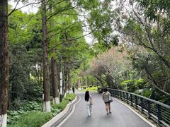 -苏州河梦清园环保主题公园