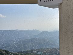 -玉苍山国家森林公园