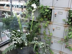 -北马山庄植趣咖啡