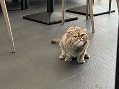 -财神鸡煲(华强北店)