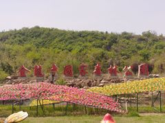 -金龙寺国家森林公园
