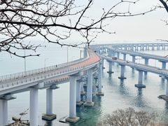 -星海湾跨海大桥