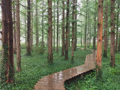 -国家植物园南园