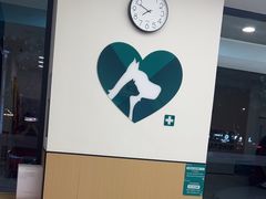 -瑞派康怡24h宠物医院·犬猫医疗中心·微创绝育(瑞景分院)
