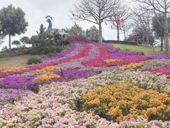 -东莞植物园