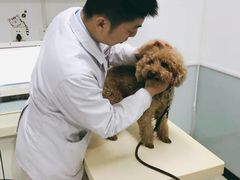 -全心全意连锁动物医院(加州店)