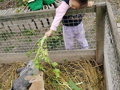 -九善农植有机生活农场