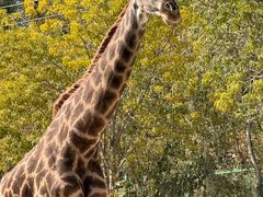 -水上乐园·欢乐世界