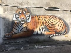 -槟城街头艺术街区