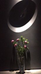 点击看大图 -美壹生皮肤管理中心